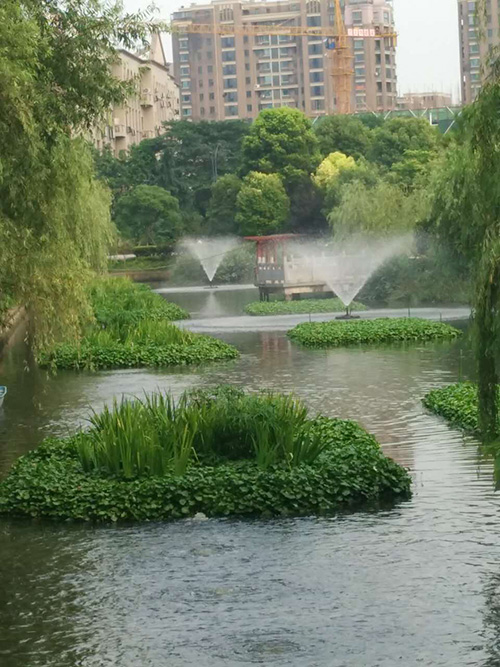 沉水式鼓黄瓜成人APP视频-河道治理
