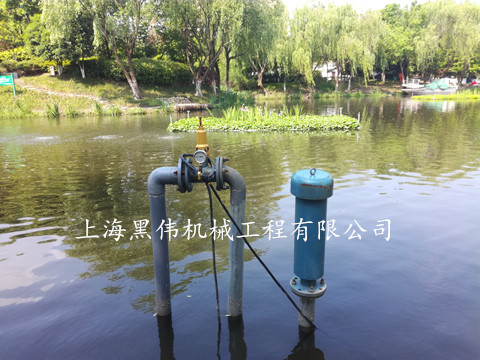 河道治理沉水式鼓黄瓜成人APP视频 河道治理沉水式鼓黄瓜成人APP视频