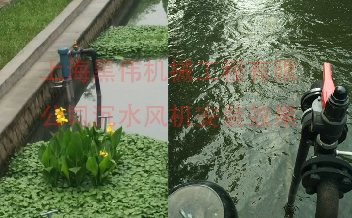沉水黄瓜成人APP视频在施工现场如何安装？