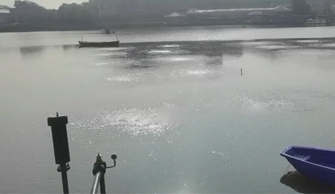 黄瓜视频下载安装沉水黄瓜成人APP视频助力杭州萧山区某河道生态治理